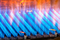 Dipton gas fired boilers